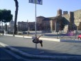 /album/pole-street-roma-myria-piero-nadine-e-omar/pole-street-agosto-2010-roma-032-jpg/